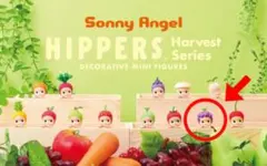 ソニーエンジェル ヒッパーズ