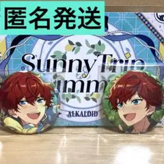 あんスタ　コレクション　缶バッジ　歌詞カード　天城一彩　IDOL CASUAL