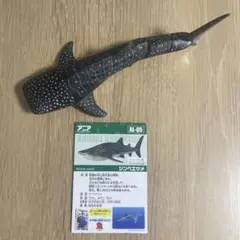 2025年最新】アニア サメの人気アイテム - メルカリ
