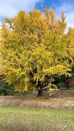 たまご様☆専用ページ