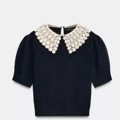 ZARA ショートスリーブクロシェニットセーター