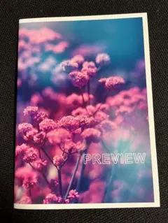 朗読劇 PREVIEW パンフレット 西山宏太朗 伊東健人 野島健児 名塚佳織