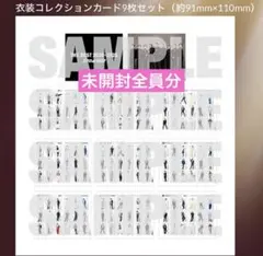 【新品未開封】ベストアルバム通常盤特典 衣装コレクションカード セット