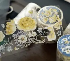 【hs17】 Hoshi奶芙 /晴空金蕊 贝壳光 pet 1ループ 100cm