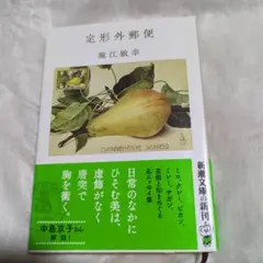 定形外郵便　堀江敏幸