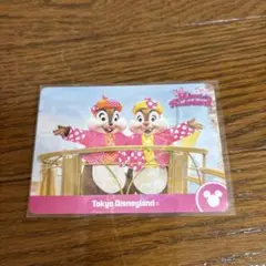 ディズニー　ミニーのファンダーランド　コレクションカード　チップ　デール