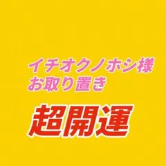 【イチオクノホシ様お取り置き】