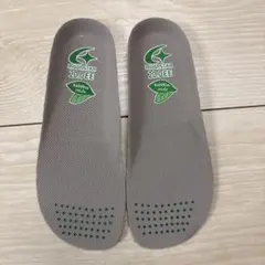 moonstar 20.0EE インソール