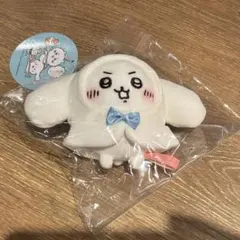 ちいかわ×サンリオキャラクターズ ぷちミニフードマスコット