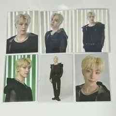 SEVENTEEN FOLLOW ディノ トレカ