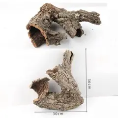 2025年最新】コルク樹皮 キャノンの人気アイテム - メルカリ