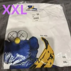 ユニクロ KAWS + WARHOL Tシャツ XXL