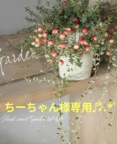 ちーちゃん様専用ページです♬.*゜