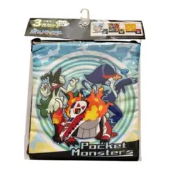 ポケモン　巾着　3枚セット