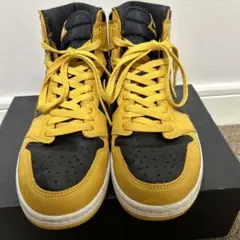 Nike Air Jordan 1 “Pollen”