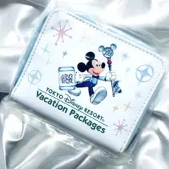 東京ディズニーリゾート　バケーションパッケージ　 25周年パスケース　ウォレット