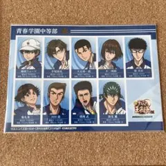 青春学園 選手名鑑風ブロマイド 入場特典