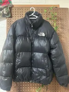 THENORTH FACEヌプシダウン 700 ブランク 95M