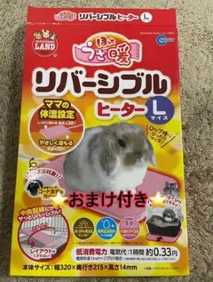 Item thumbnail for item 4bce71ae-b760-40a8-9041-4bb8aa905a82