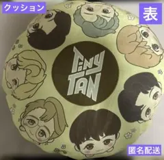 TiNyTANクッション
