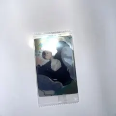 WindBreaker ウィンブレ トレカ ウエハース 桜遥