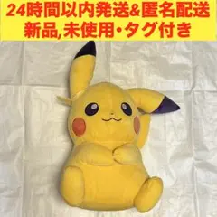 ポケモン めちゃもふぐっとぬいぐるみ Fancy Time ピカチュウ ①