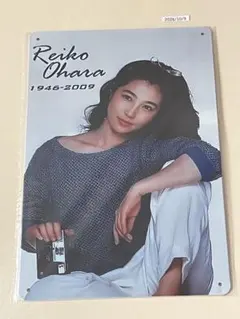 大原麗子 ブリキ看板 インテリア