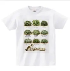 ボタニカルTシャツ新作★受注後作成★アガベ植物デザイン Tシャツ ホワイトのサムネイル