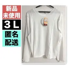 Item thumbnail for item 42c3b850-d89c-42c0-bd08-221bd9702fd6