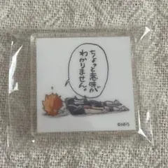 2026年最新】ハイキュー 応募者全員サービス アクリルタイルの人気