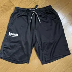 Item thumbnail for item a3df768f-3f99-4147-a462-cd5acc4c4923