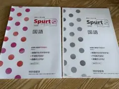Spurt 10 国語 問題集