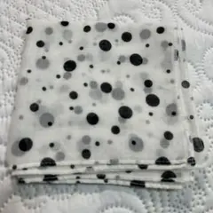 Item thumbnail for item a9b30507-dd62-46d5-8203-86a623f3a64f