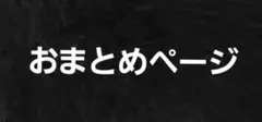 赤い魚様 リクエスト 3点 まとめ商品
