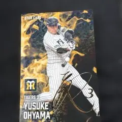 プロ野球チップス 大山 サインカード スターカード