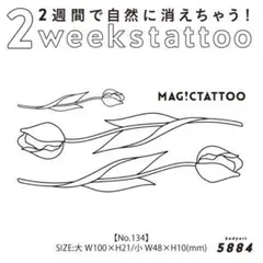 Item thumbnail for item b60c6968-59ae-4d6e-870c-071a39bad0fd