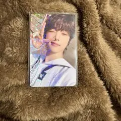 &team ウィジュ トレカ