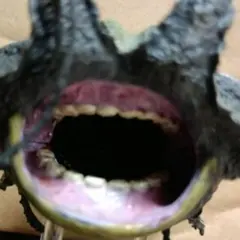 超造形魂 モンスターハンター 第5弾　ヤマツカミ