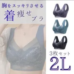 小さく見せるブラ シームレス レース シンプル快適 　2L XXL 3枚セット