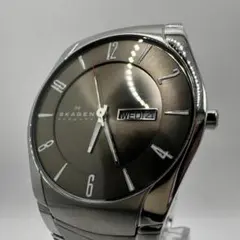 skagen スカーゲン 腕時計 デイデイト 531xlsxm1のサムネイル