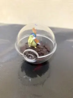 ポケモン リーメント テラリウム マグマラシのサムネイル