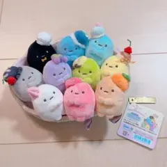 2025年最新】すみっコぐらし10周年たぴがとうの人気アイテム - メルカリ