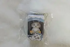 ちいかわ　チョコボックス　あのこ