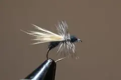 Item thumbnail for item 93c2dd05-8c68-4413-a6e8-26bcc7af3de9