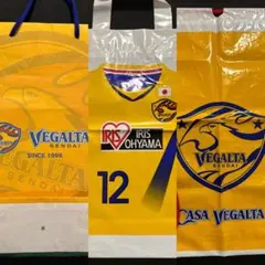 ベガルタ仙台 ショッピングバッグ クリアファイル