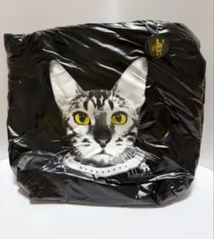 ど*ど様 美品 BUCK-TICK 櫻井敦司プロデュース 招き猫 - メルカリ