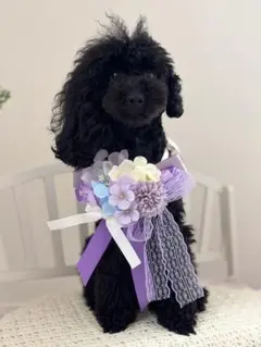 紫陽花のチョーカー　トリミング　撮影用　ペット用チョーカー