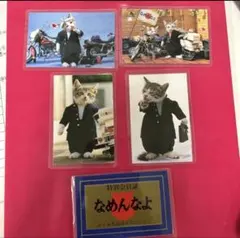 ☆なめ猫【なめんなよ】ラミネートカード＆まけ犬カード【まけんなよ