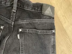 Levi’s SilverTab シルバータブ バギー ペインター サイズ32