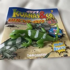 イグアナアンドコミニ　ヒロオビフィジーイグアナのサムネイル